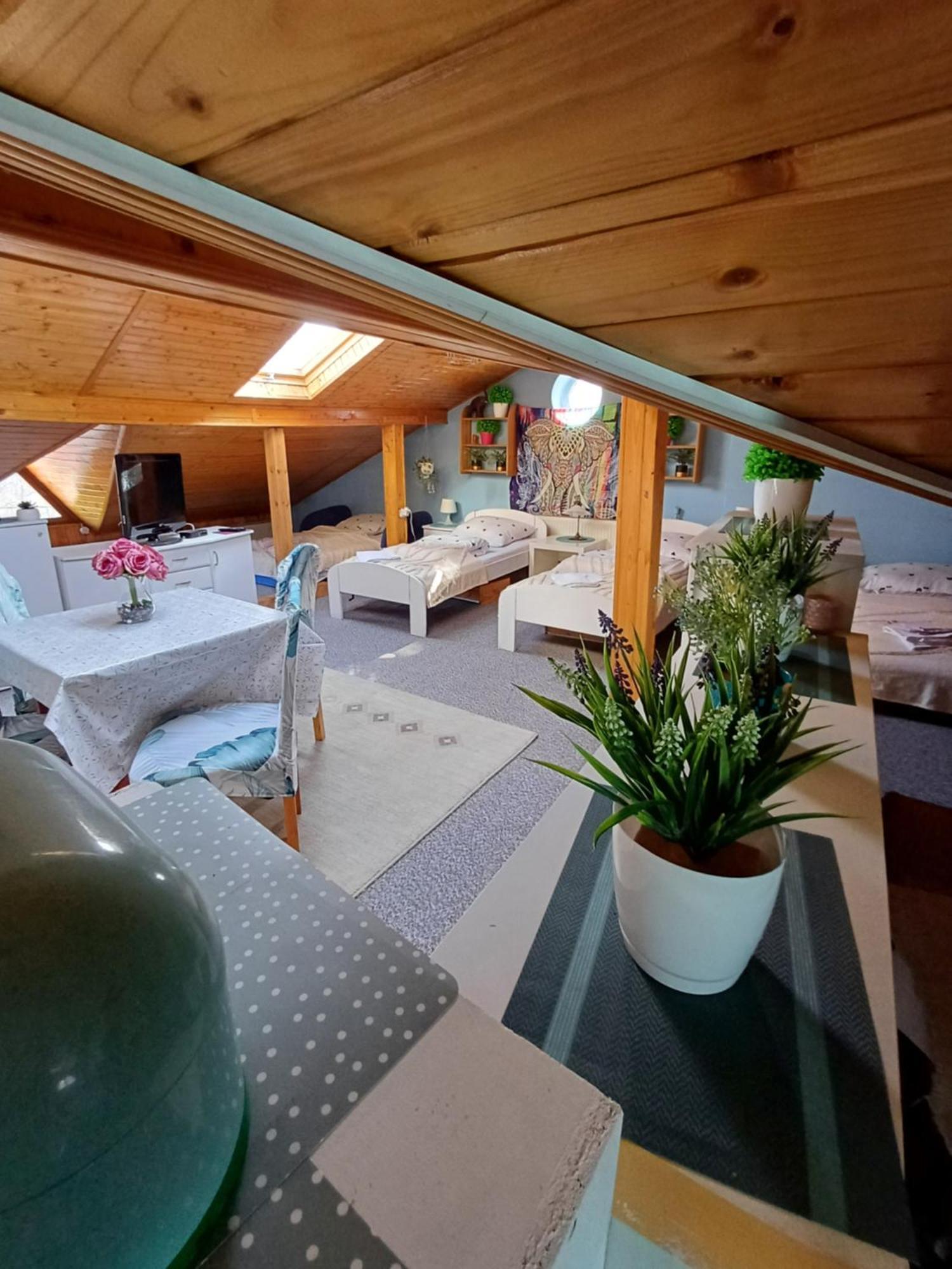 Mieszkanie Prywatne 130m Apartment Tuszyn
